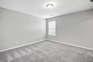 217 Wading Bird Loop, Blythewood, SC 29016 - Photo 35