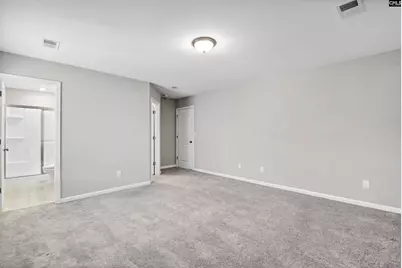 217 Wading Bird Loop, Blythewood, SC 29016 - Photo 29