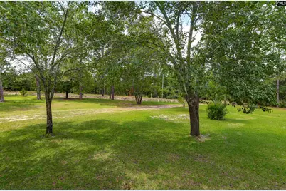 409 Hayride Road, Gilbert, SC 29054 - Photo 25