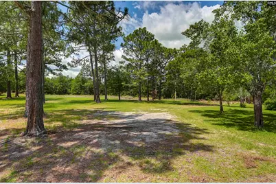 409 Hayride Road, Gilbert, SC 29054 - Photo 11