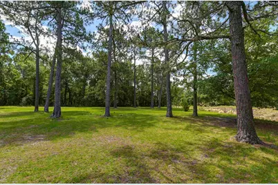 409 Hayride Road, Gilbert, SC 29054 - Photo 5