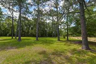409 Hayride Rd, Gilbert, SC 29054 - Photo 5