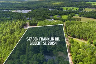 947 Ben Franklin Rd, Gilbert, SC 29054 - Photo 53
