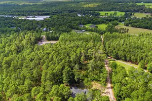 947 Ben Franklin Rd, Gilbert, SC 29054 - Photo 47