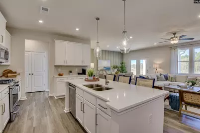 658 Griffon Drive, Chapin, SC 29036 - Photo 7