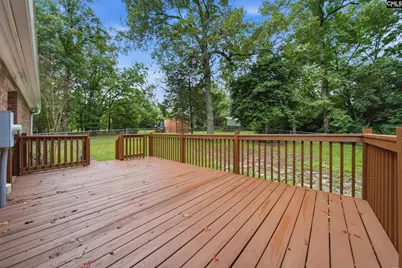 109 Hooterville Drive, Blythewood, SC 29016 - Photo 19