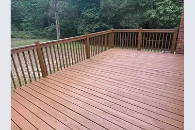 109 Hooterville Drive, Blythewood, SC 29016 - Photo 21