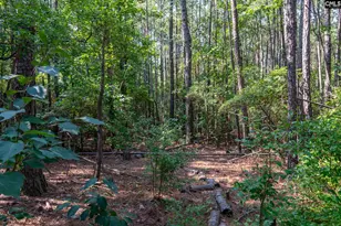 1633 Old Stagecoach Rd, Camden, SC 29020 - Photo 1