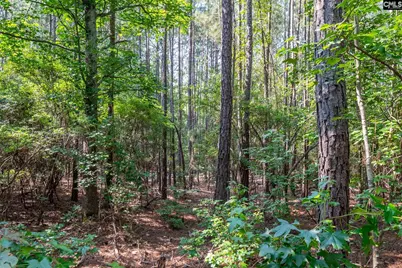 1633 Old Stagecoach Road, Camden, SC 29020 - Photo 13