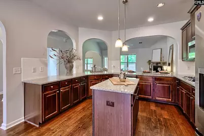 450 Lever Hill Road, Chapin, SC 29036 - Photo 13