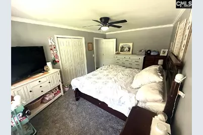 116 Firebridge Drive, Chapin, SC 29036 - Photo 19