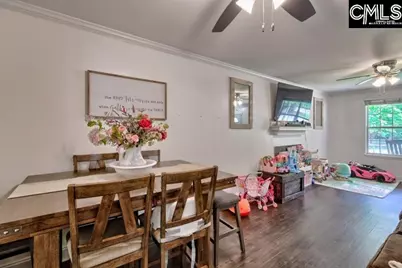 116 Firebridge Drive, Chapin, SC 29036 - Photo 7