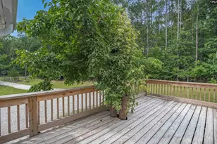 304 Cooper Rd, Blythewood, SC 29016 - Photo 29