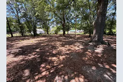 1020 Pisgah Church Road, Lexington, SC 29072 - Photo 25