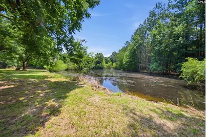 7580 Columbia Highway, Batesburg, SC 29006 - Photo 41