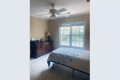 417 Highwater Court, Chapin, SC 29036 - Photo 21