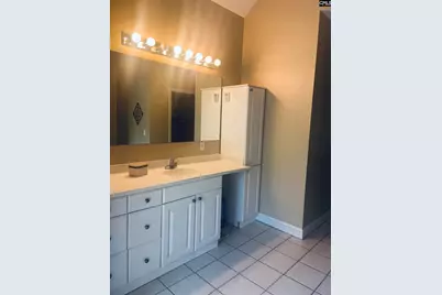 417 Highwater Court, Chapin, SC 29036 - Photo 25