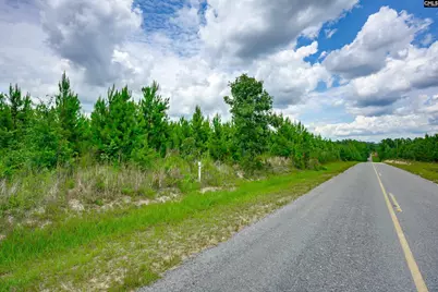 00 Catalina Boulevard, Sandy Run, SC 29160 - Photo 3