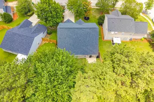 5 Redbrush Ct, Chapin, SC 29036 - Photo 57