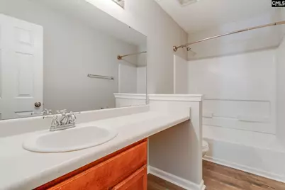 5 Redbrush Court, Chapin, SC 29036 - Photo 45