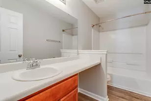 5 Redbrush Ct, Chapin, SC 29036 - Photo 45