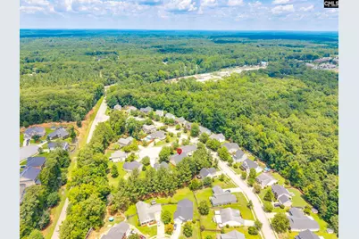 5 Redbrush Court, Chapin, SC 29036 - Photo 59