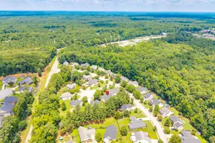 5 Redbrush Ct, Chapin, SC 29036 - Photo 59