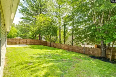 5 Redbrush Court, Chapin, SC 29036 - Photo 53