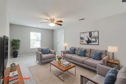 5 Redbrush Court, Chapin, SC 29036 - Photo 33