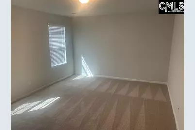 1354 Tanreall Drive, Lexington, SC 29073 - Photo 13
