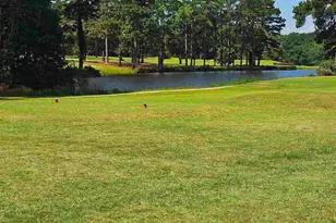 1341 Davenport Dr, Manning, SC 29102 - Photo 41