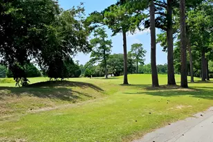 1341 Davenport Dr, Manning, SC 29102 - Photo 3