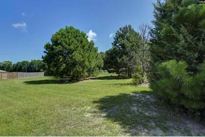 968 Beaufort Farm Road, Blythewood, SC 29016 - Photo 7