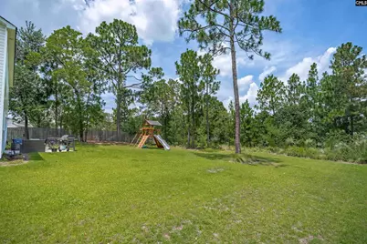 263 Cassique Drive, Lexington, SC 29073 - Photo 43