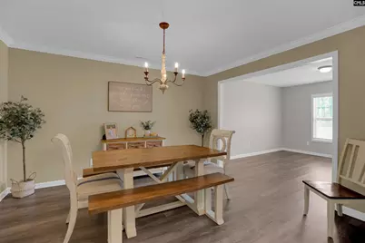263 Cassique Drive, Lexington, SC 29073 - Photo 11