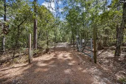 121 Coral Court, Lexington, SC 29073 - Photo 33