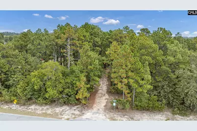 121 Coral Court, Lexington, SC 29073 - Photo 35