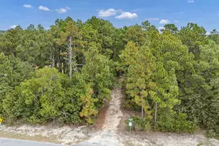 121 Coral Ct, Lexington, SC 29073 - Photo 35