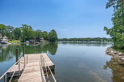 331 Three Point Road, Chapin, SC 29036 - Photo 59