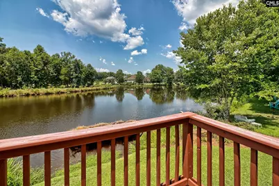119 Lake Hilton Drive, Chapin, SC 29036 - Photo 3