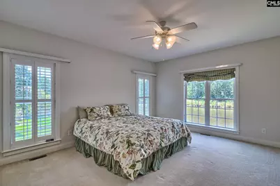 119 Lake Hilton Drive, Chapin, SC 29036 - Photo 15