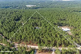 257 Rimrock Rd, Gilbert, SC 29054 - Photo 9