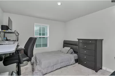 353 Switch Grass Court, Elgin, SC 29045 - Photo 7