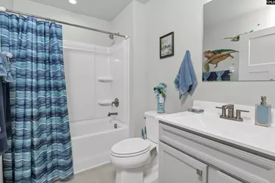 353 Switch Grass Court, Elgin, SC 29045 - Photo 5