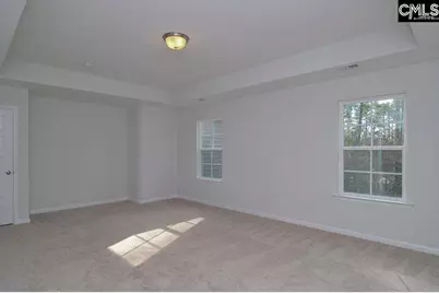 356 Hollow Cove Road, Chapin, SC 29036 - Photo 27