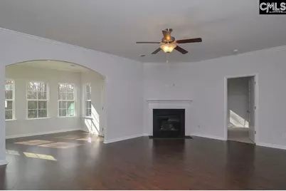 356 Hollow Cove Road, Chapin, SC 29036 - Photo 3