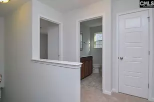356 Hollow Cove Rd, Chapin, SC 29036 - Photo 23