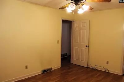 155 Pinewood Drive, Chapin, SC 29036 - Photo 23