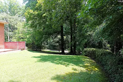 155 Pinewood Drive, Chapin, SC 29036 - Photo 29