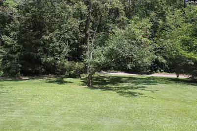 155 Pinewood Drive, Chapin, SC 29036 - Photo 31